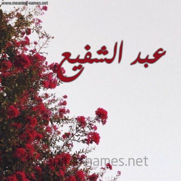 شكل 18 صوره الورد الأحمر للإسم بخط رقعة صورة اسم عبد الشفيع ABD-ALSHFIA